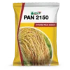 Pan_2150