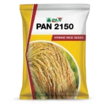 Pan_2150