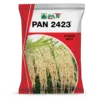 Pan_2423