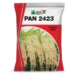 Pan_2423