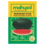 SHAKKAR-PLUS