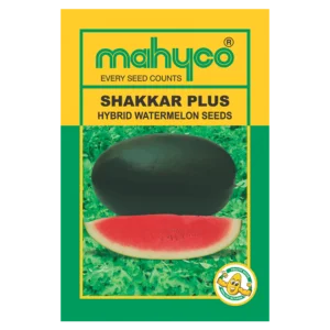 SHAKKAR-PLUS