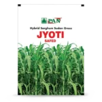 SSG-Jyoti