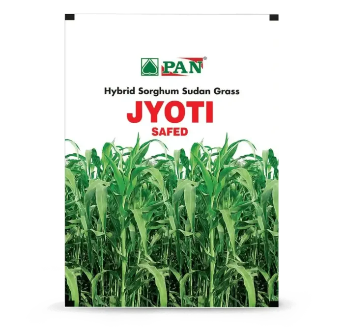 SSG-Jyoti