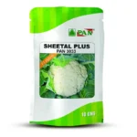 Sheetal-Plus_PAN-3033
