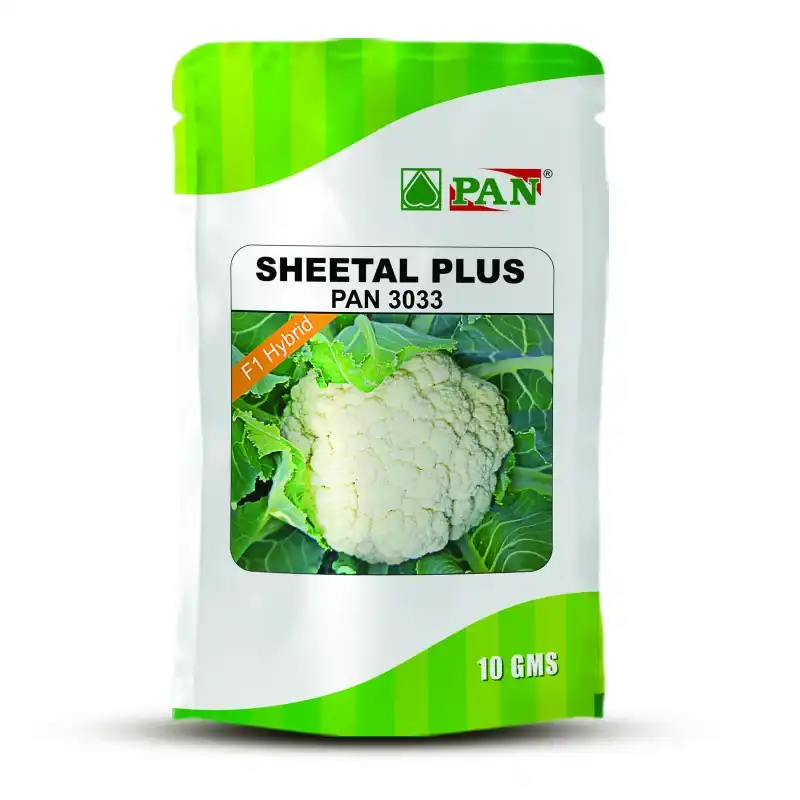 Sheetal-Plus_PAN-3033