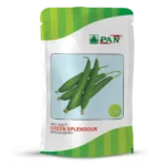 Sponge-Gourd-PAN-2802