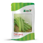 Sponge-Gourd-PAN-2812