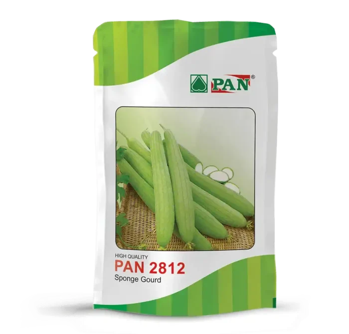 Sponge-Gourd-PAN-2812