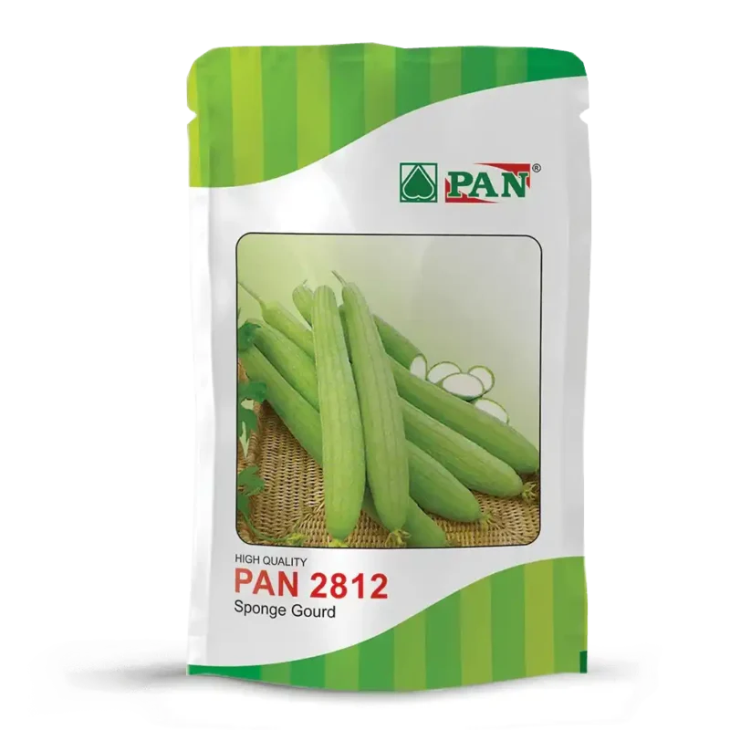 Sponge-Gourd-PAN-2812