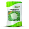 Summer-Boom_PAN-3035