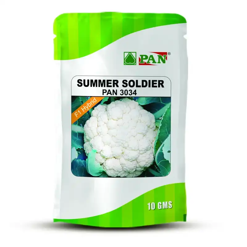 Summer-Soldier_PAN-3034