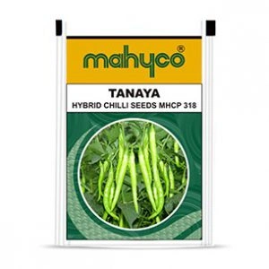 Tanaya
