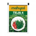 Teja-4