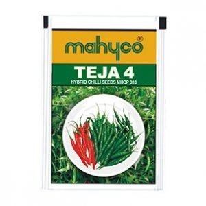 Teja-4
