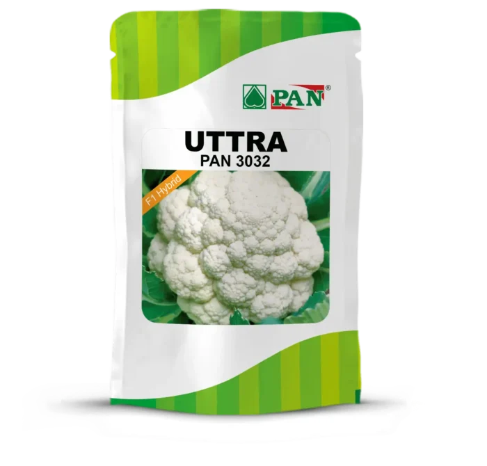 Uttra_3032