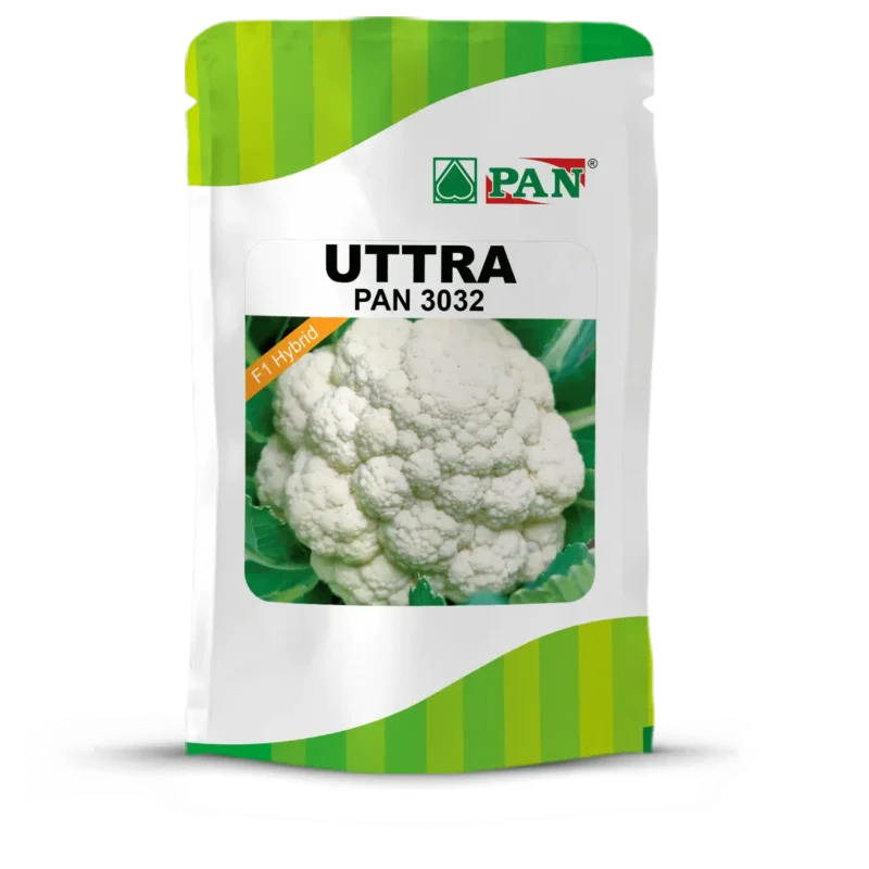 Uttra_3032