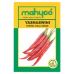 YASHASWINI