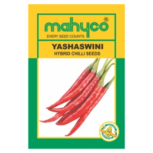 YASHASWINI
