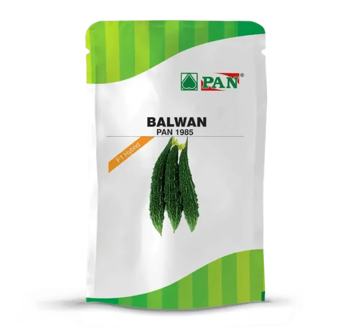 balwan