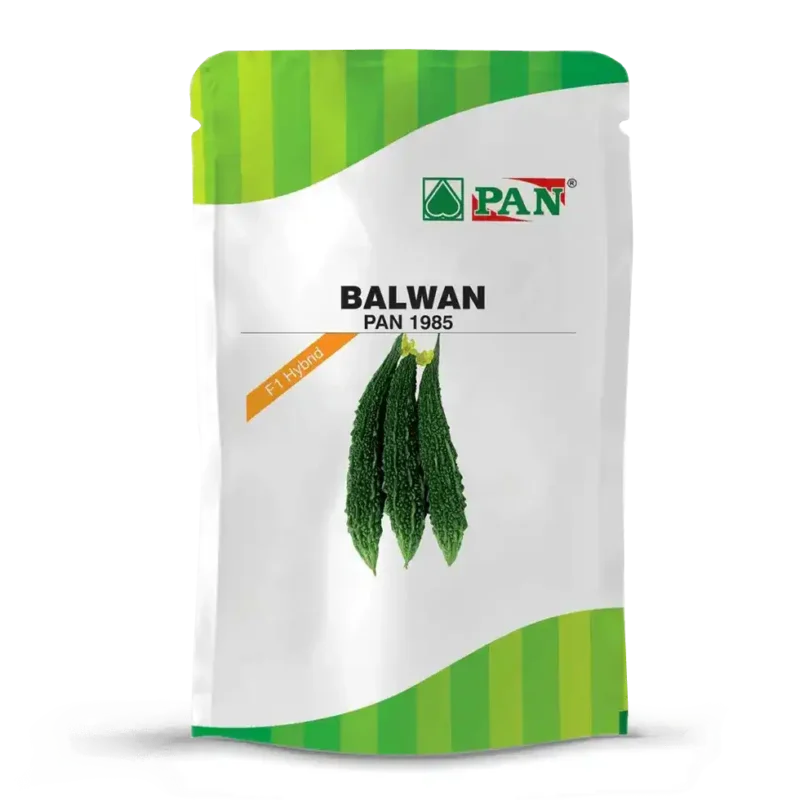 balwan
