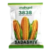 maize-sadashiv-3838