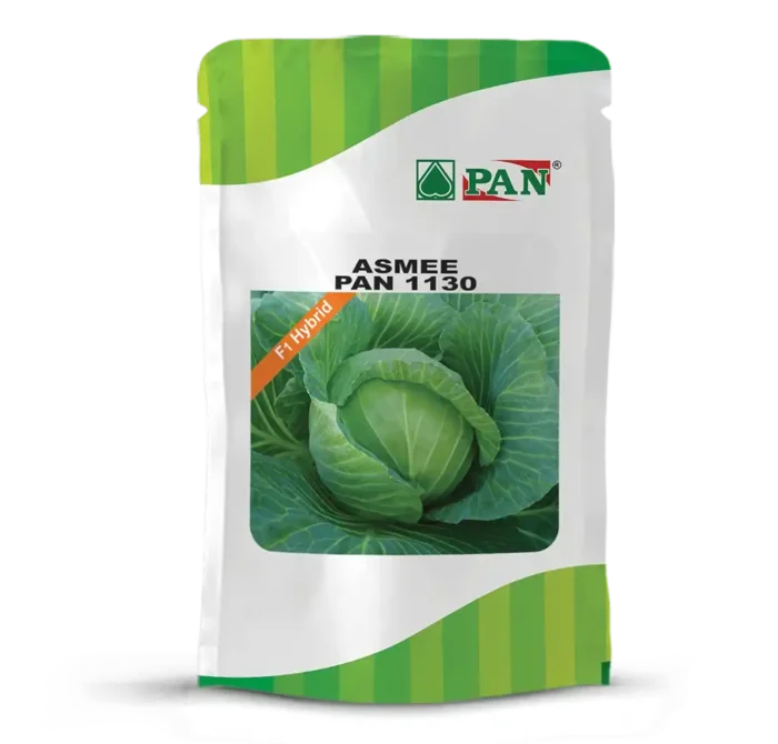 pan-1130-asmee