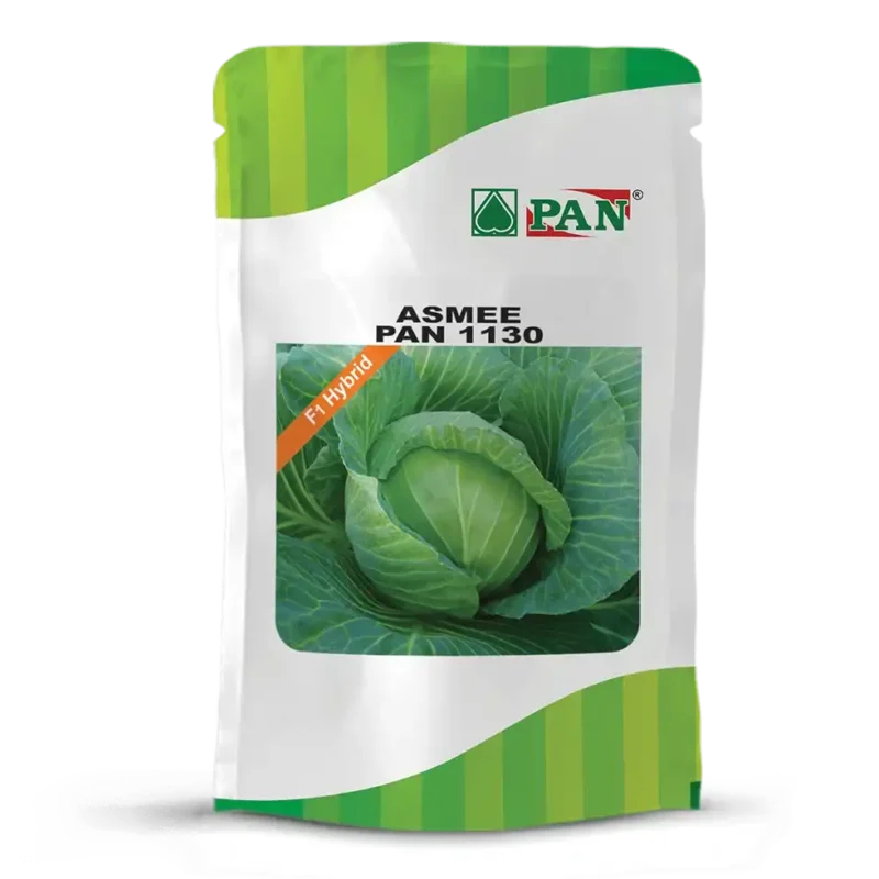 pan-1130-asmee