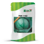 pan-1162