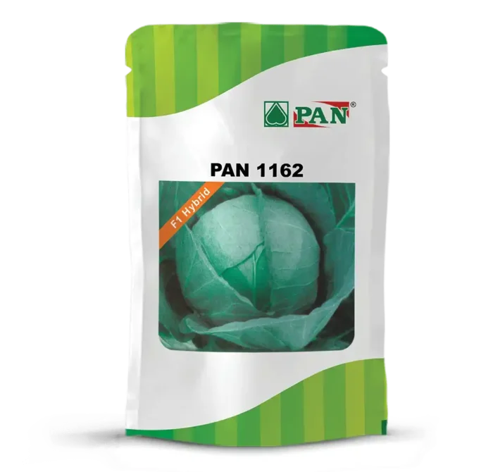 pan-1162