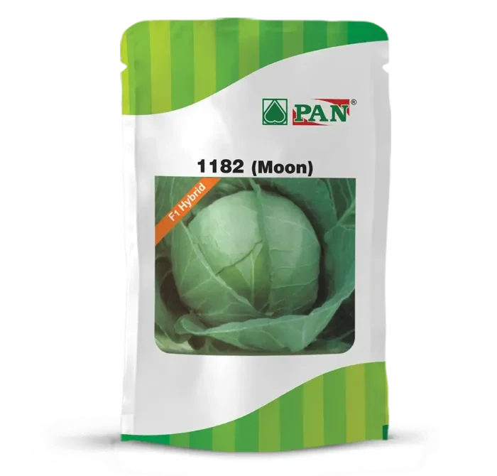 pan-1182-moon
