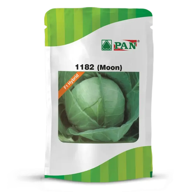 pan-1182-moon
