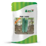 pan-1693