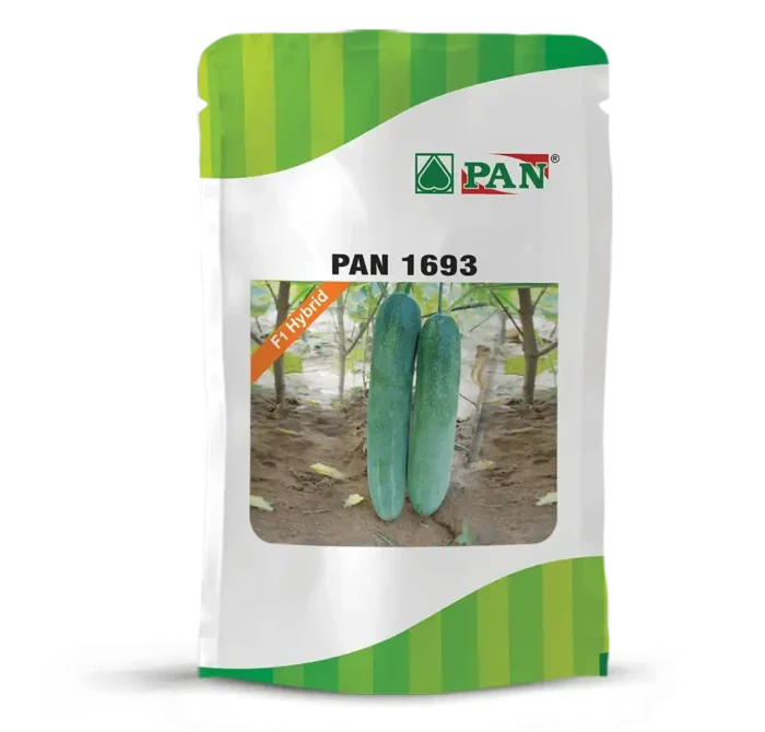 pan-1693