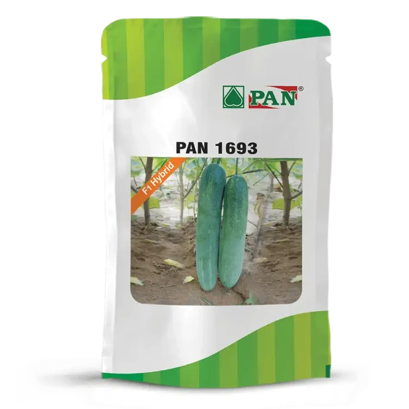 pan-1693