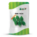 pan-1934