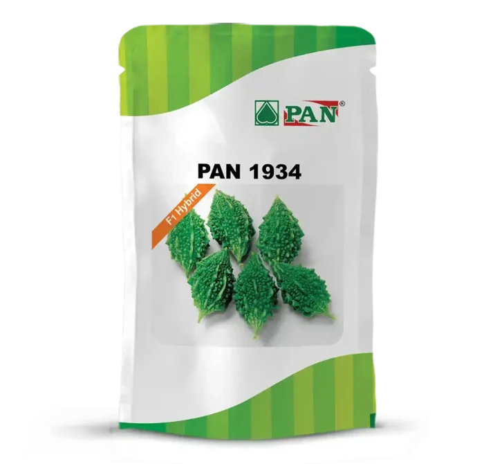 pan-1934