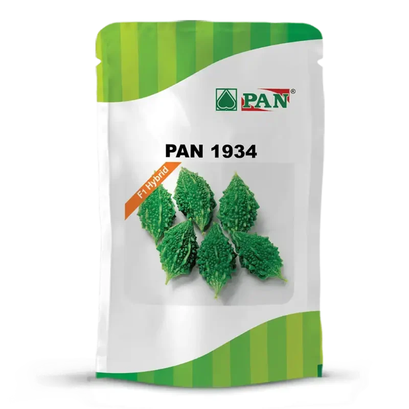 pan-1934
