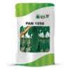 pan-1950