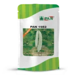 pan-1982