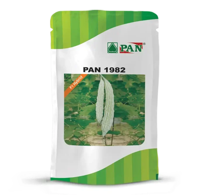 pan-1982