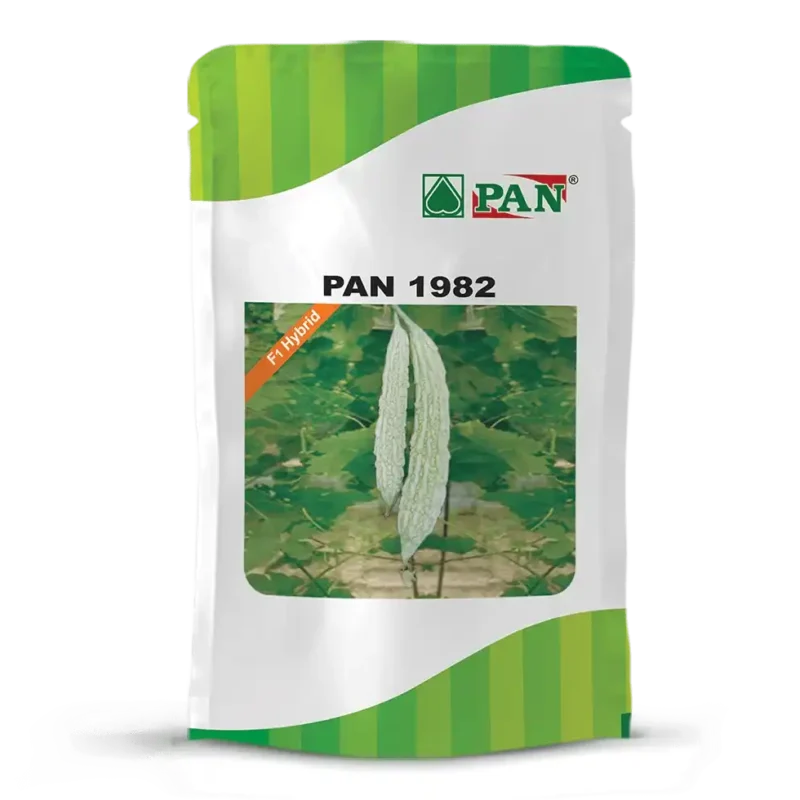 pan-1982