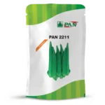 pan-2211