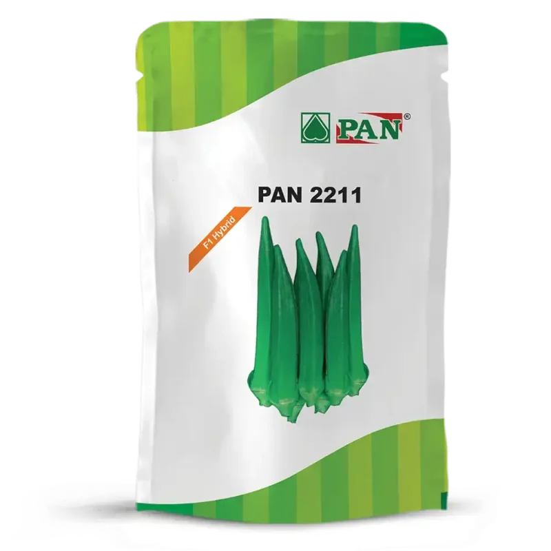 pan-2211