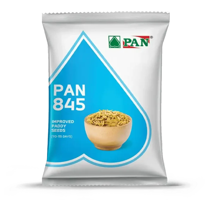 pan-845