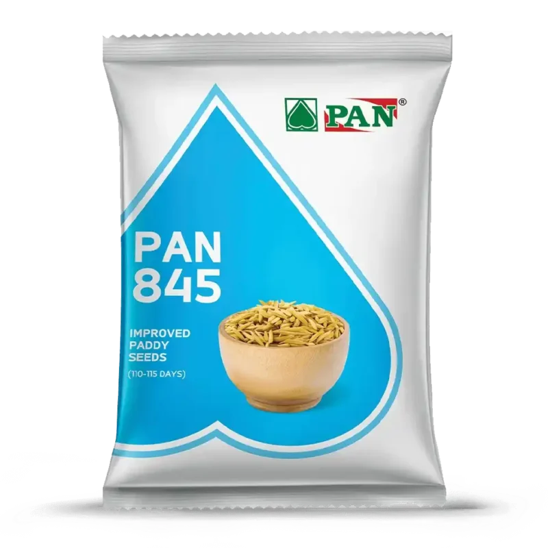 pan-845