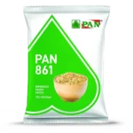 pan-861