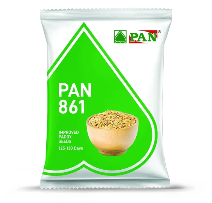 pan-861