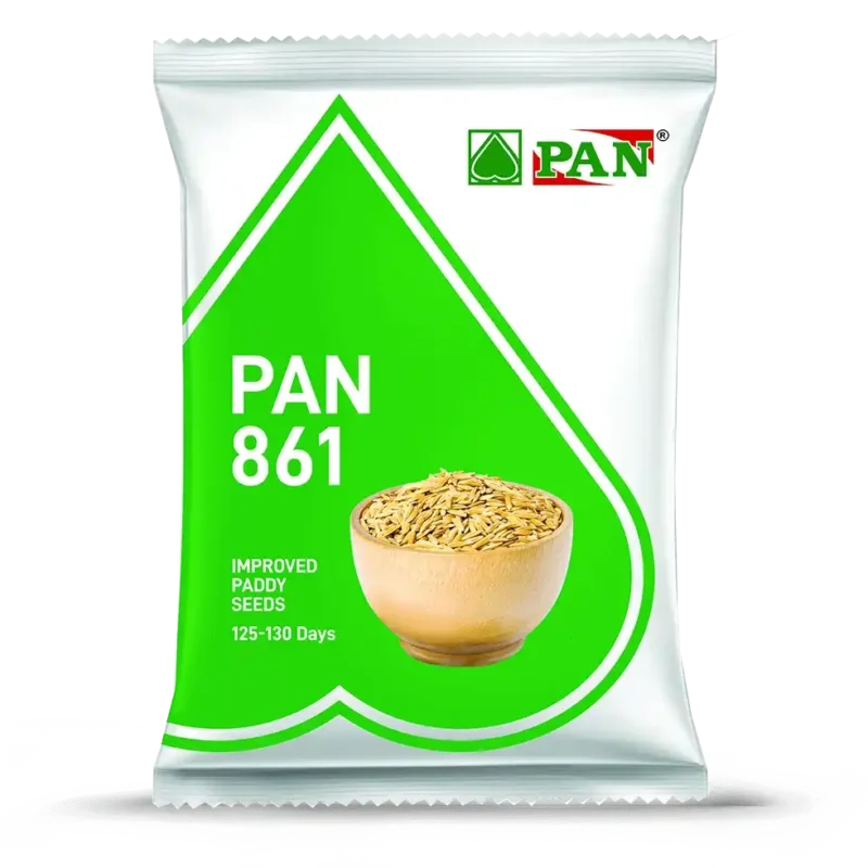 pan-861
