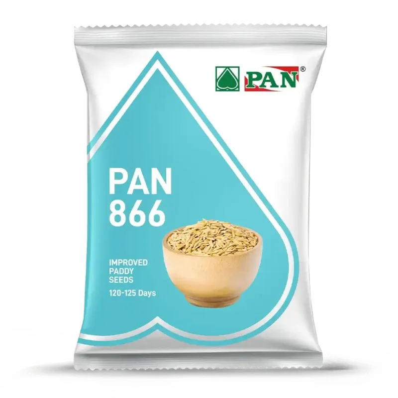 pan-866